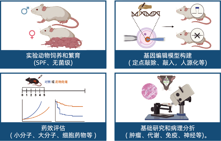 资源 34@4x.png