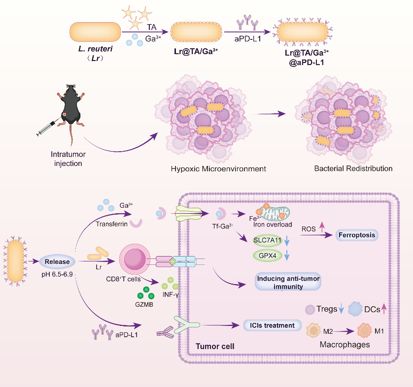 图片2.png 图片2.png