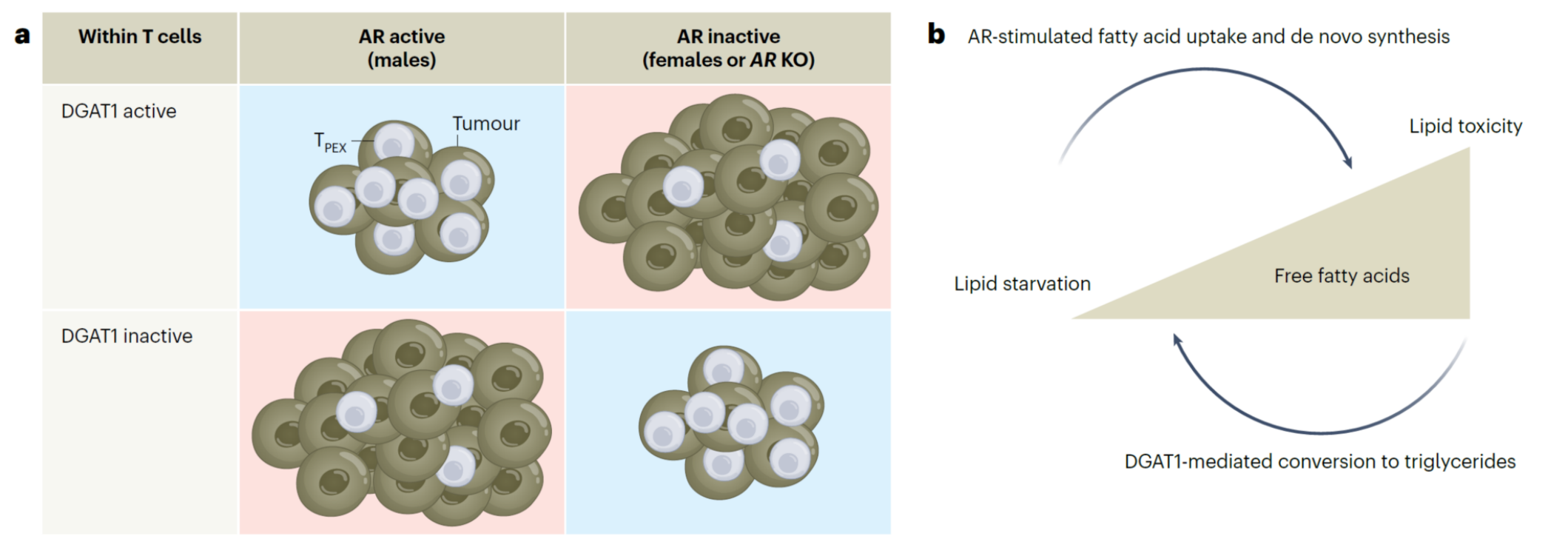 图片6.png 图片6.png