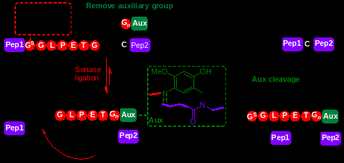 25图片2.png 25图片2.png